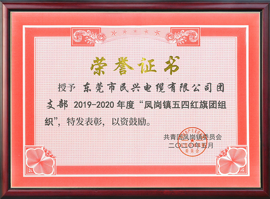  必一运动
团支部获“凤岗镇五四红旗团组织“称号