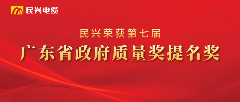 莞企必一运动
荣获“广东省政府质量奖提名奖”
