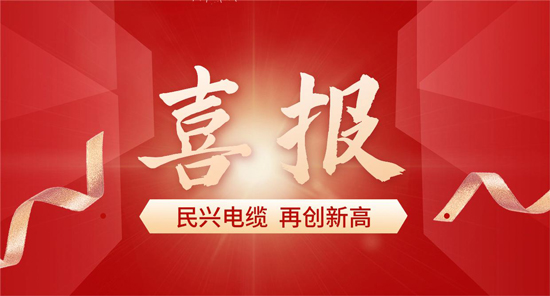 东莞唯一！必一运动
入选广东省首席质量官质量变革创新典型案例