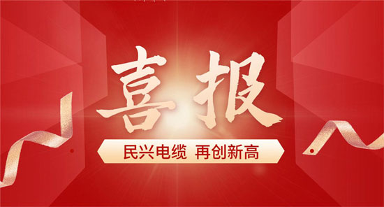 东莞必一运动
入选广东省首席质量官质量变革创新典型案例